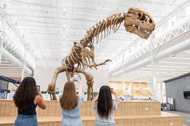 Kayseri’de Paleontoloji ve Fosil Müzesi açılıyor 